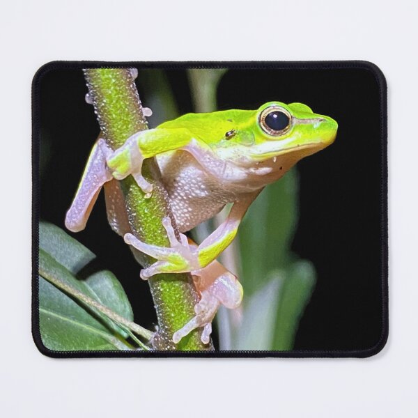 Item preview, Detail of Tiny Green Frog designed and sold by CritterCapers.