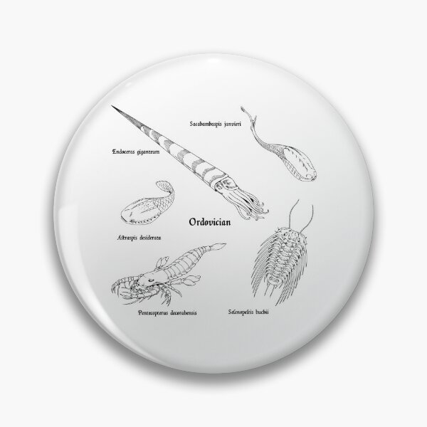 Item preview, Ordovician Life (Textbook Style Font) designed and sold by DavidNeffArt.