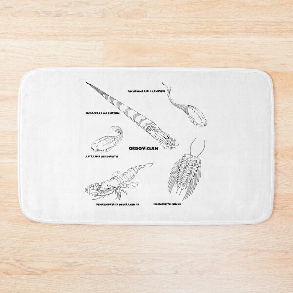 Item preview, Ordovician Life (Brush Stroke Style Font) designed and sold by DavidNeffArt.
