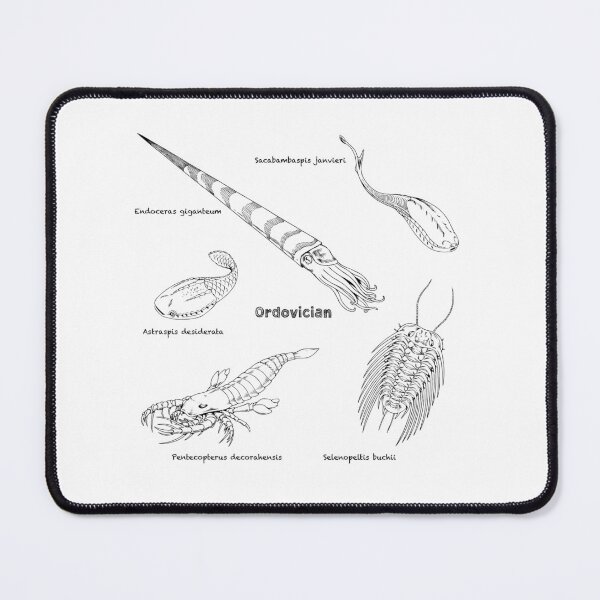 Item preview, Ordovician Life (Chalkboard Style Font) designed and sold by DavidNeffArt.