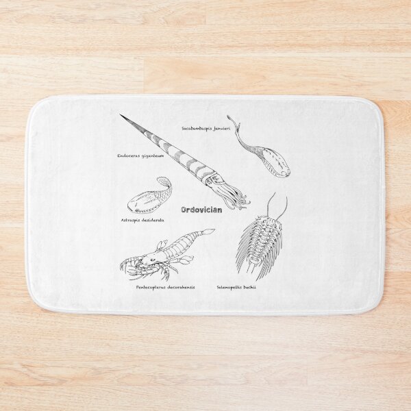 Item preview, Ordovician Life (Chalkboard Style Font) designed and sold by DavidNeffArt.