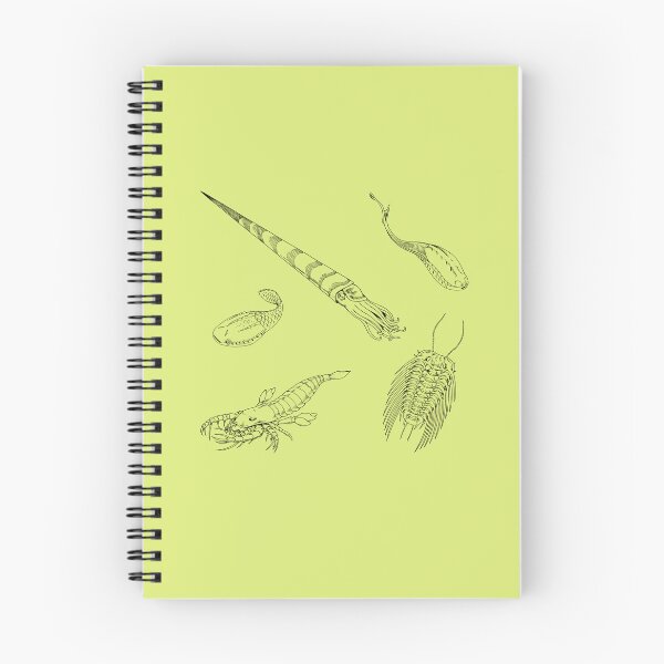 Item preview, Ordovician Life (No Font) designed and sold by DavidNeffArt.