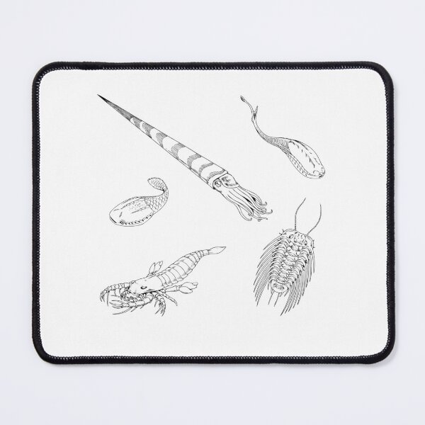Item preview, Ordovician Life (No Font) designed and sold by DavidNeffArt.