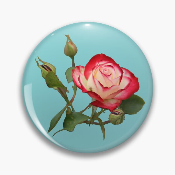 Item preview, Red and Creme Rose with Buds on Turquoise designed and sold by STHogan2.
