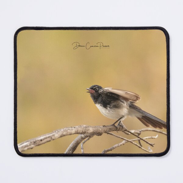 Item preview, Singing Willie Wagtail designed and sold by Donna Cameron-Prosser.