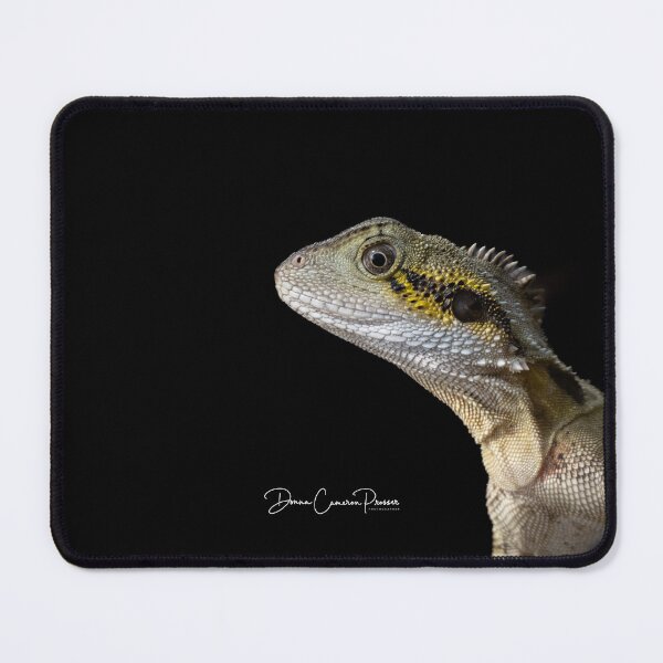 Item preview, Smiling Water Dragon designed and sold by Donna Cameron-Prosser.
