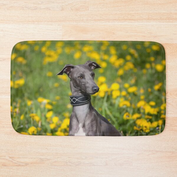 Artikelvorschau, Whippet-Foto entworfen und verkauft von Iluvmygreyhound.
