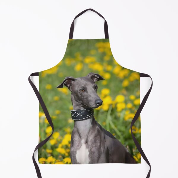 Artikelvorschau, Whippet-Foto entworfen und verkauft von Iluvmygreyhound.