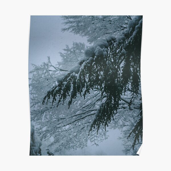 Bomb Cyclone 2 Poster