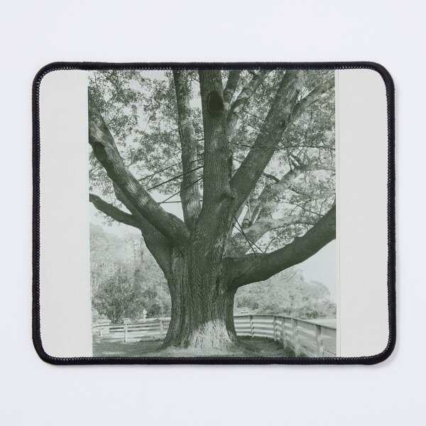Item preview, Old Tree Poster designed and sold by Ghastbriel.