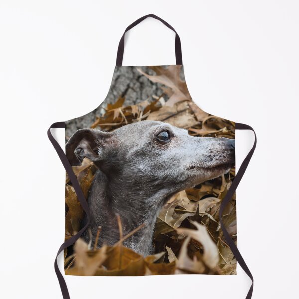 Artikelvorschau, Whippet-Foto entworfen und verkauft von Iluvmygreyhound.