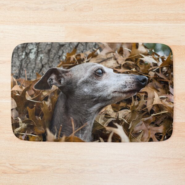 Artikelvorschau, Whippet-Foto entworfen und verkauft von Iluvmygreyhound.
