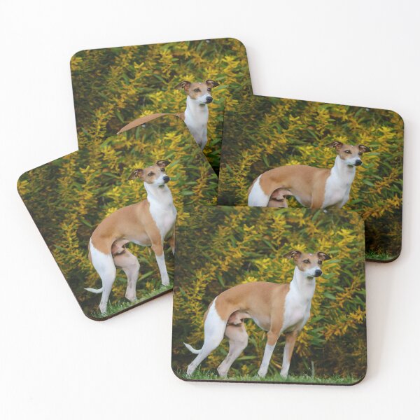 Item preview, Foto de Whippet designed and sold by Iluvmygreyhound.