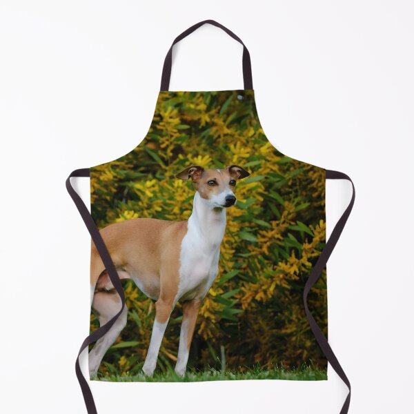 Artikelvorschau, Whippet-Foto entworfen und verkauft von Iluvmygreyhound.