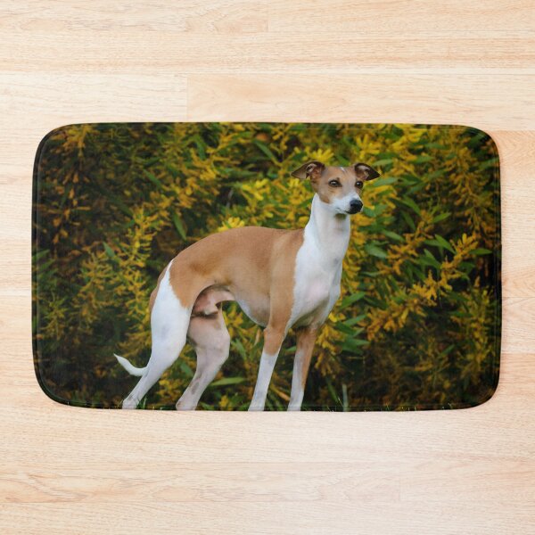 Artikelvorschau, Whippet-Foto entworfen und verkauft von Iluvmygreyhound.