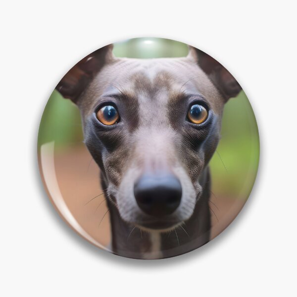 Artikelvorschau, Whippet-Foto entworfen und verkauft von Iluvmygreyhound.