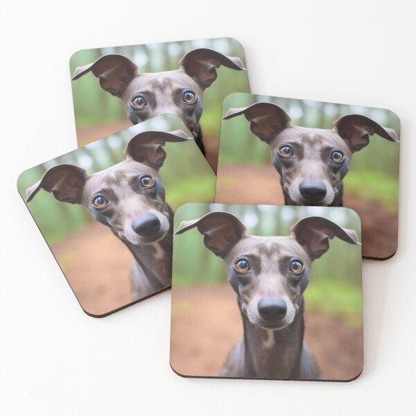 Item preview, Foto de Whippet designed and sold by Iluvmygreyhound.