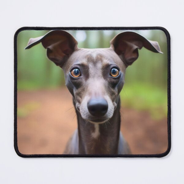 Item preview, Whippet photo designed and sold by Iluvmygreyhound.