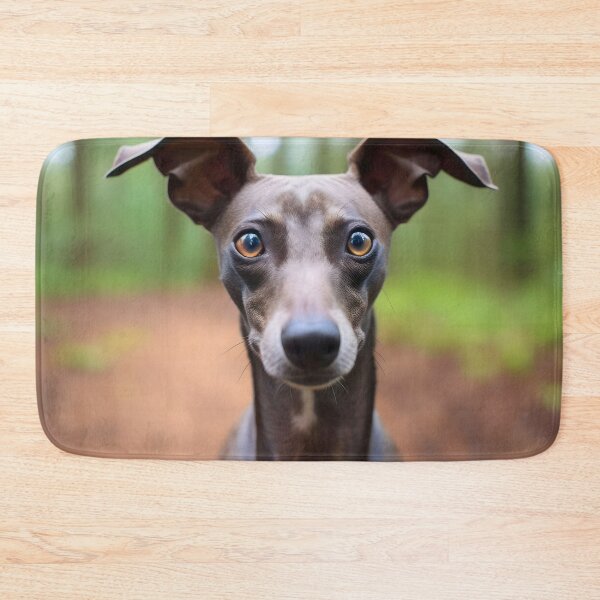 Artikelvorschau, Whippet-Foto entworfen und verkauft von Iluvmygreyhound.