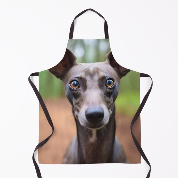Artikelvorschau, Whippet-Foto entworfen und verkauft von Iluvmygreyhound.