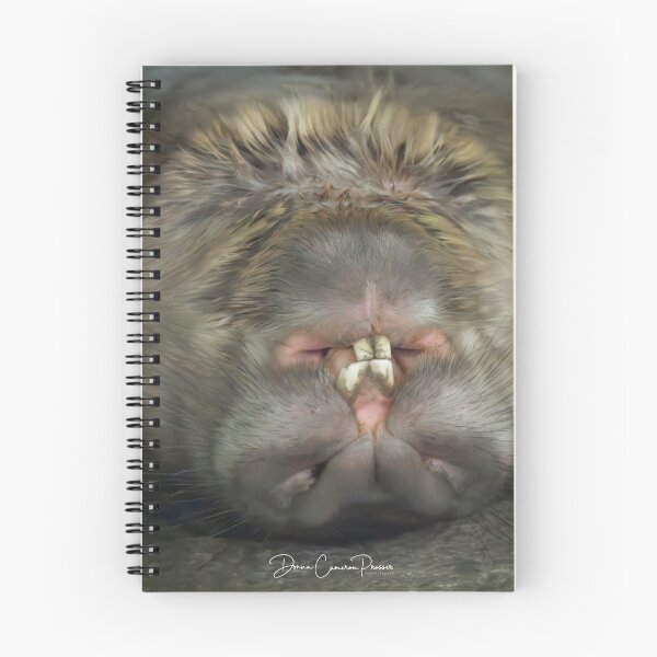 Item preview, Upside Down Wombat Smile designed and sold by Donna Cameron-Prosser.