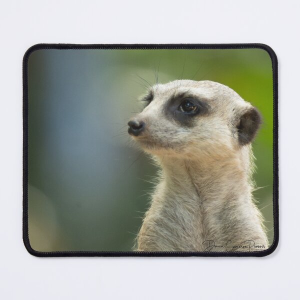 Item preview, I'm Looking Out For You designed and sold by Donna Cameron-Prosser.