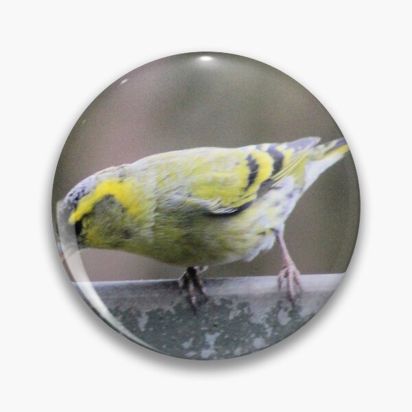 Item preview, siskin designed and sold by KathleenDawson.
