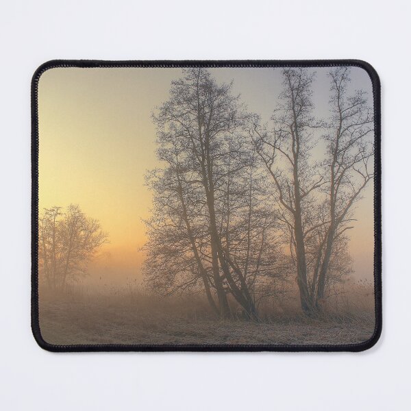 Item preview, Alders designed and sold by fotoromantik.