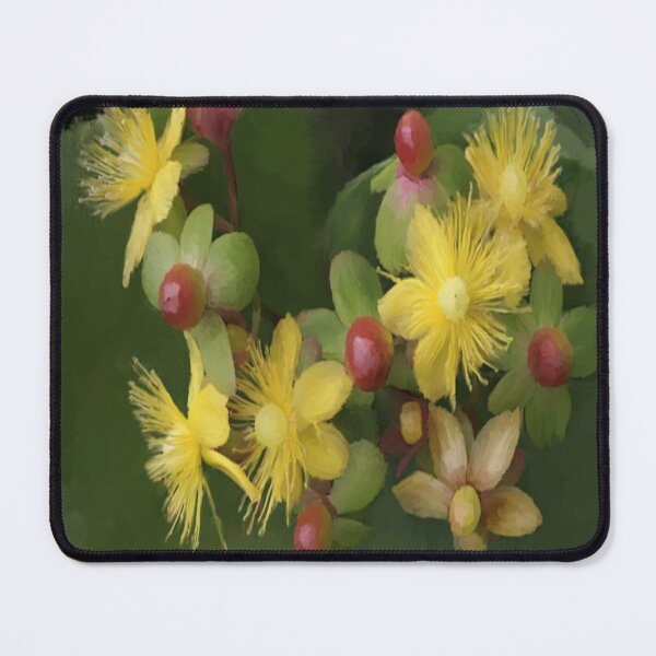Item preview, Hypericum designed and sold by Flowersonstuff.