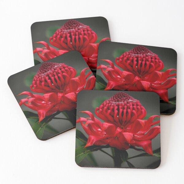 Item preview, waratah  designed and sold by allanpan.