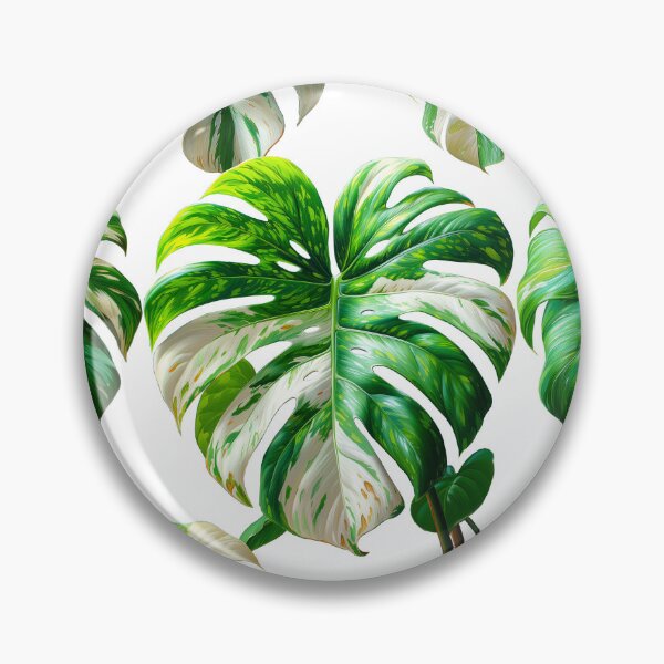 Item preview, Monstera deliciosa Variegata designed and sold by MossaicArt.
