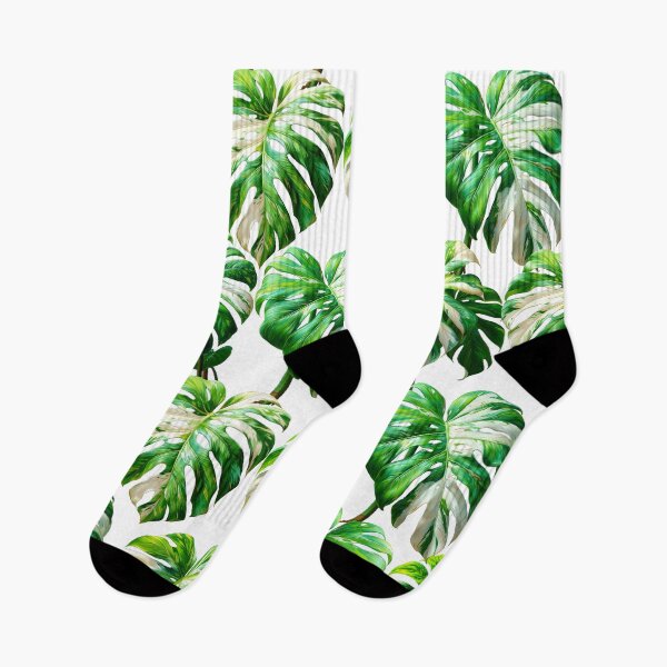 Item preview, Monstera deliciosa Variegata designed and sold by MossaicArt.