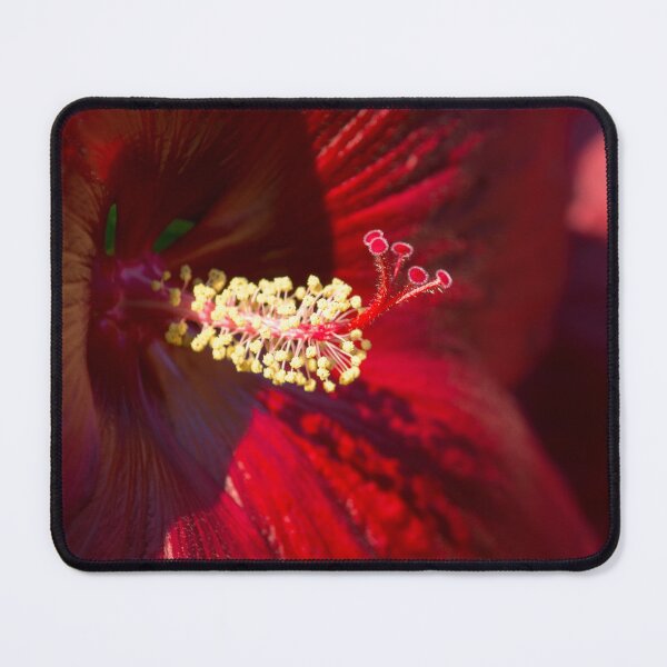 Item preview, Scarlet Petals - Hibiscus Blooms in Rich Red designed and sold by Georgia Mizuleva.