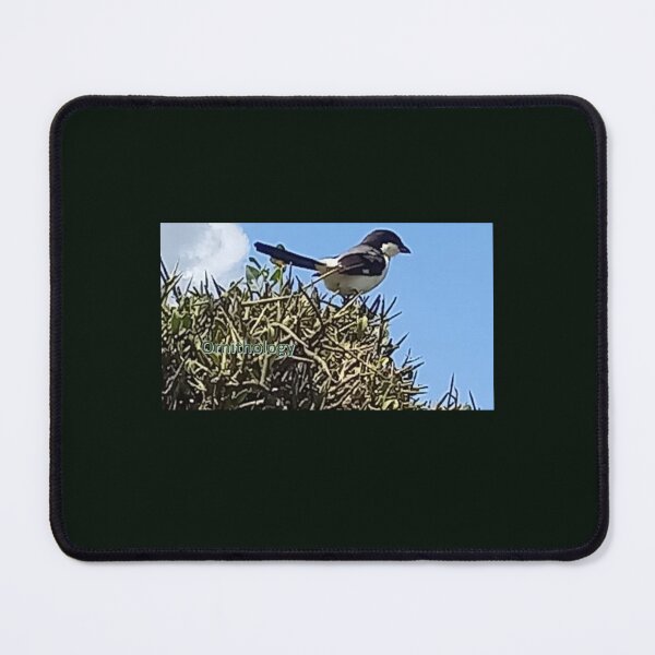 Item preview, Ornithology designed and sold by annenambiro.