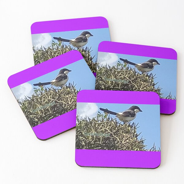 Item preview, Ornithology designed and sold by annenambiro.