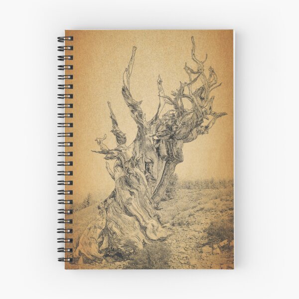 Item preview, Ancient Bristlecone Pine Forrest Oldest Tree designed and sold by Lisza Anne McKee.