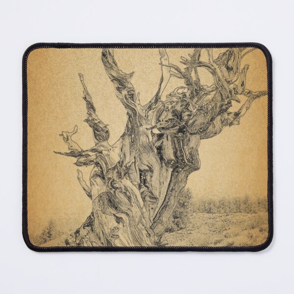 Item preview, Ancient Bristlecone Pine Forrest Oldest Tree designed and sold by Lisza Anne McKee.