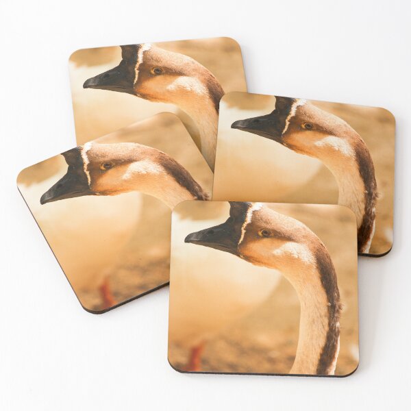 Item preview, Goose Jerez Zoo Vertical designed and sold by eddiebarronshop.
