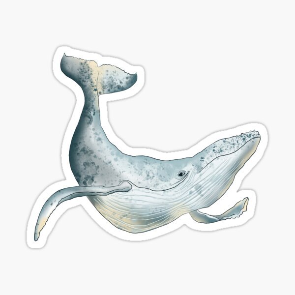 Whales Sticker