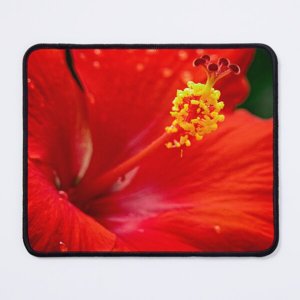 Item preview, Hibiscus designed and sold by Geraldine Holly.