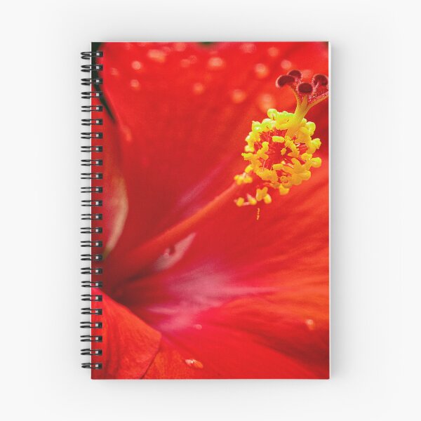Item preview, Hibiscus designed and sold by Geraldine Holly.