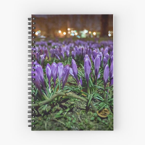 Item preview, Spring crocuses at night designed and sold by ThomasFoto.
