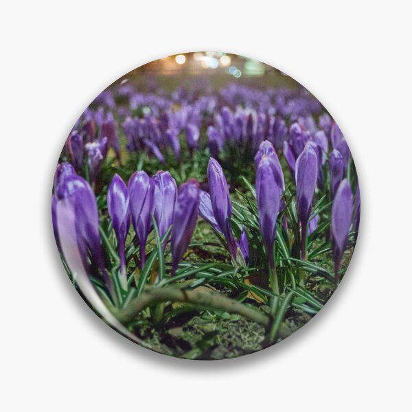 Item preview, Spring crocuses at night designed and sold by ThomasFoto.