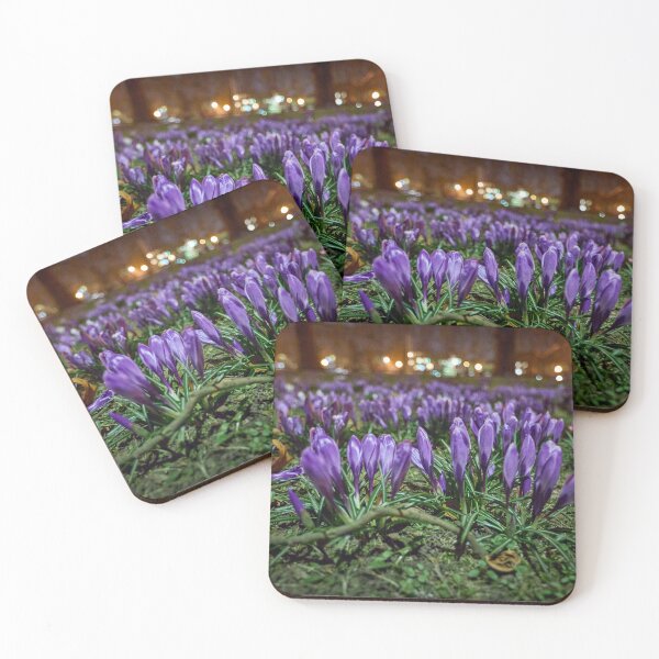 Item preview, Spring crocuses at night designed and sold by ThomasFoto.