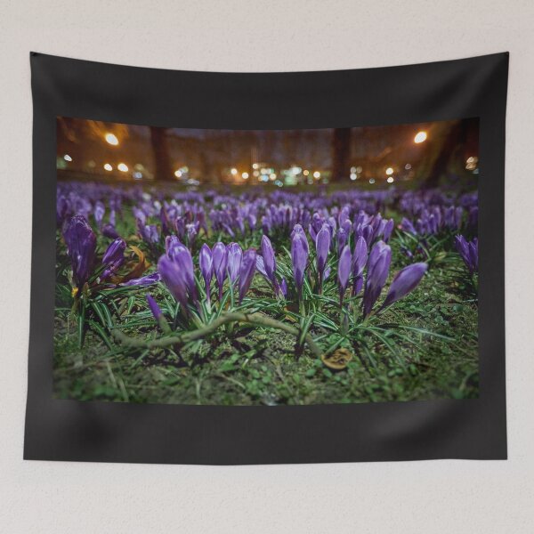 Item preview, Spring crocuses at night designed and sold by ThomasFoto.