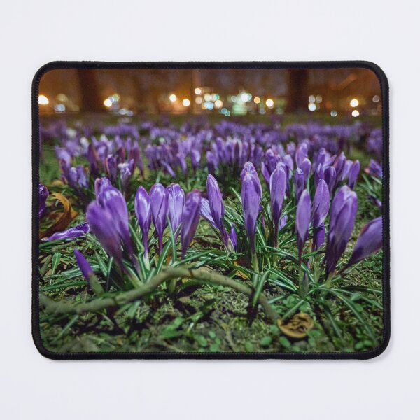Item preview, Spring crocuses at night designed and sold by ThomasFoto.