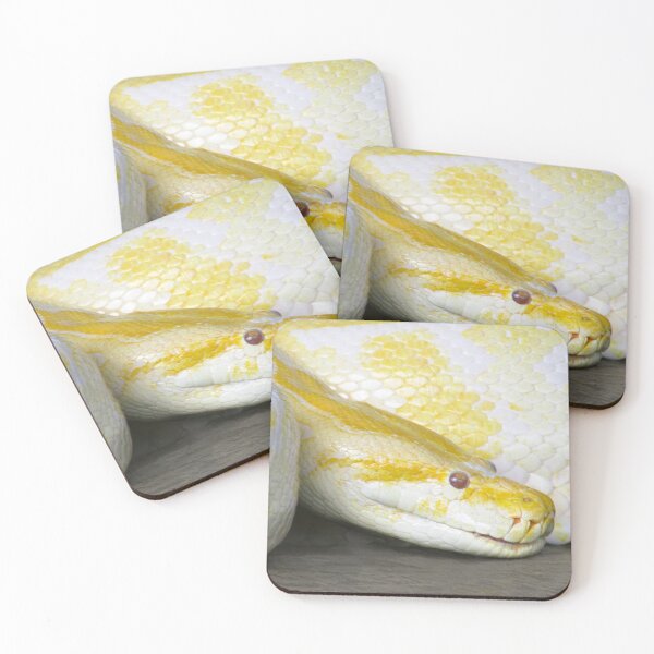 Item preview, Albino Python designed and sold by Simple Joys Photography.