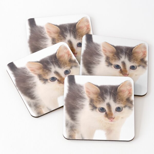 Item preview, Kitten cat animal stickers designed and sold by Flowerslaps.