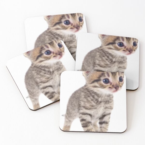 Item preview, Kitten cat animal stickers designed and sold by Flowerslaps.