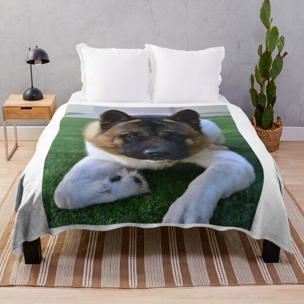 Item preview, Bear Akita Dog designed and sold by VanGaldo.